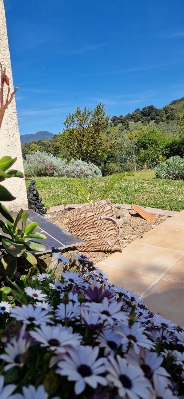 Mare E Monti Chez Thomas Et Magali Bed & Breakfast Vico Luaran gambar